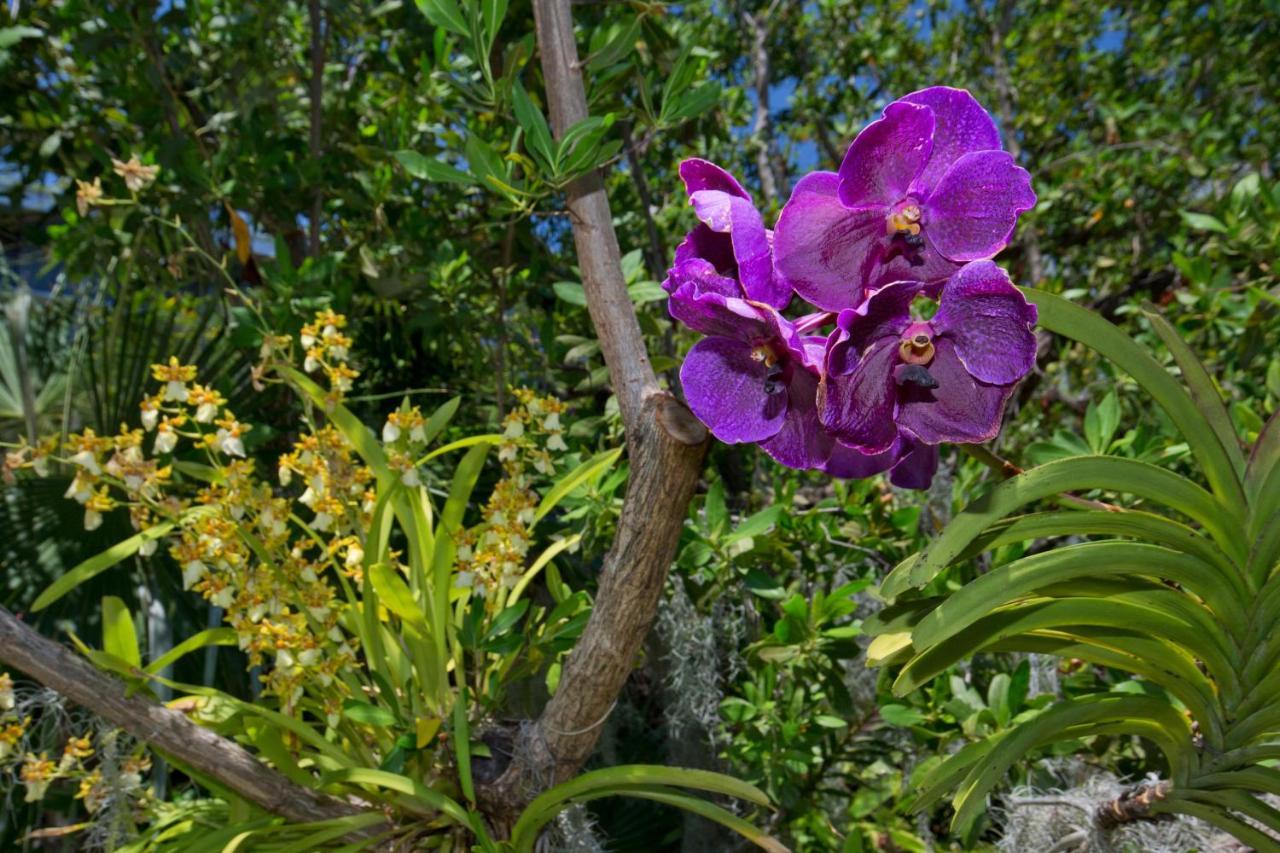 Paradise Found Cayo Hueso Exterior photo